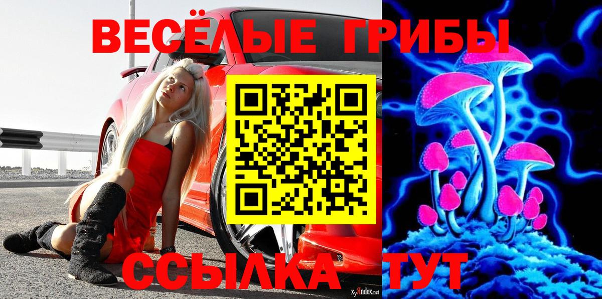 Галлюциногенные грибы Psilocybine cubensis  Вход с VPN  Чехов 