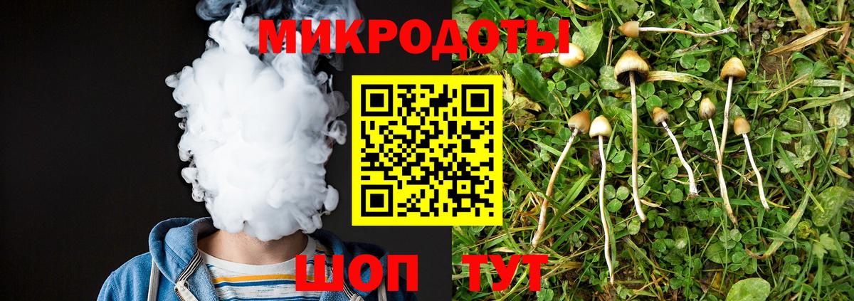 Галлюциногенные грибы Magic Shrooms Чехов